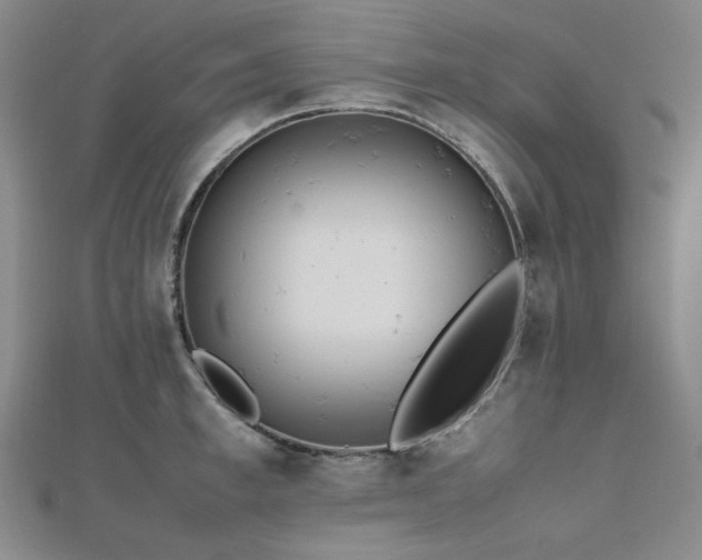 X0000112490997200908171243