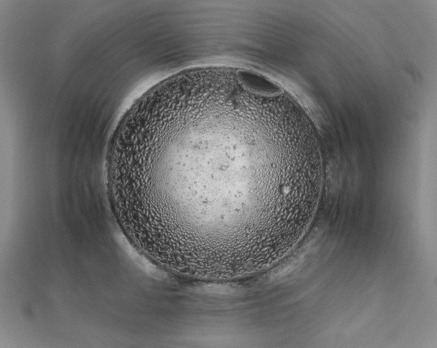 X0000112490998200908171243
