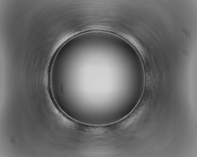 X0000112490999200908171243