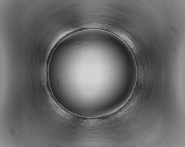X0000112491000200908171243