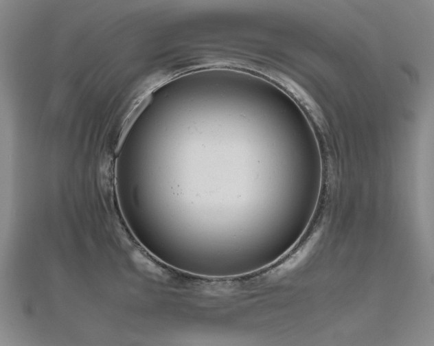 X0000112491001200908171243