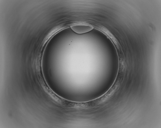 X0000112491002200908171243