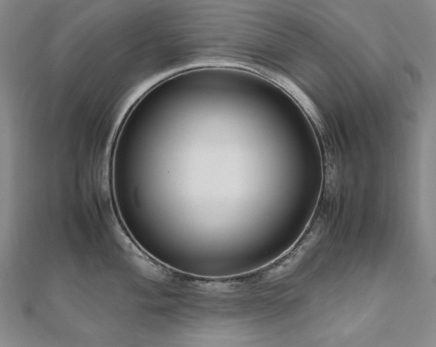 X0000112491004200908171243