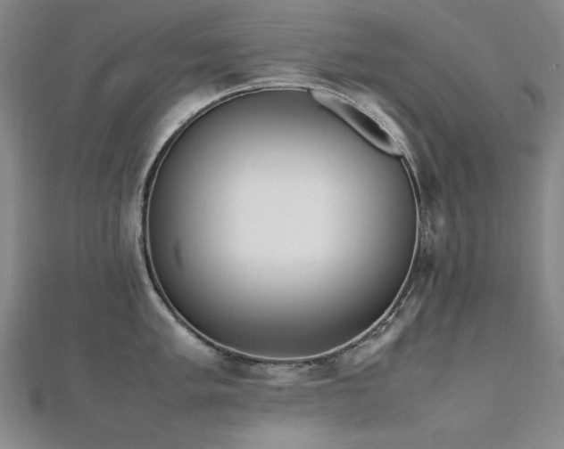 X0000112491005200908171243