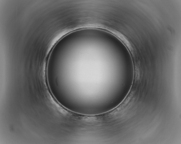 X0000112491006200908171243