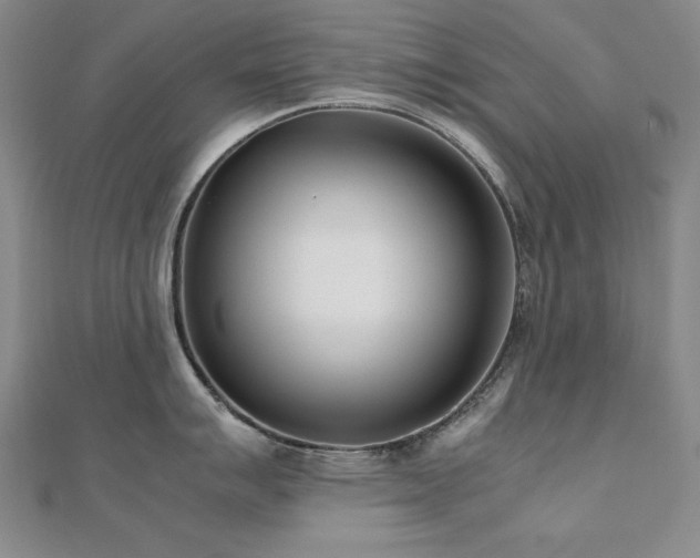 X0000112491007200908171243