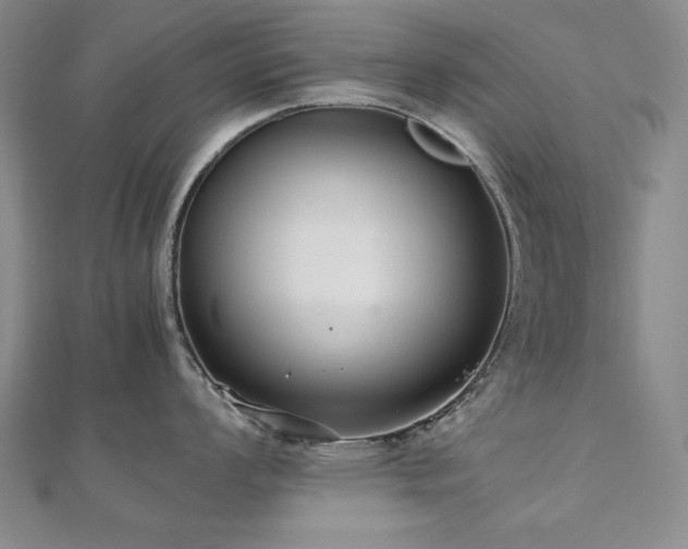 X0000112491008200908171243
