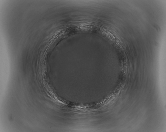 X0000112491009200908171242