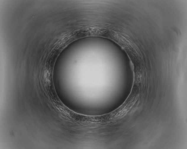 X0000112491010200908171242
