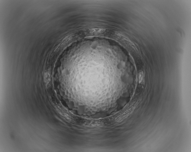 X0000112491011200908171242