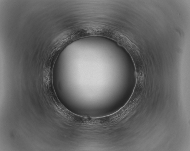 X0000112491012200908171242
