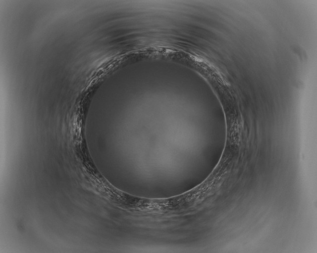 X0000112491013200908171242
