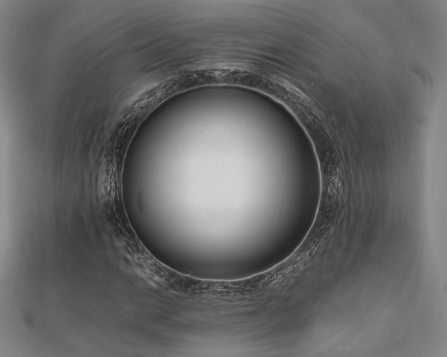 X0000112491014200908171242