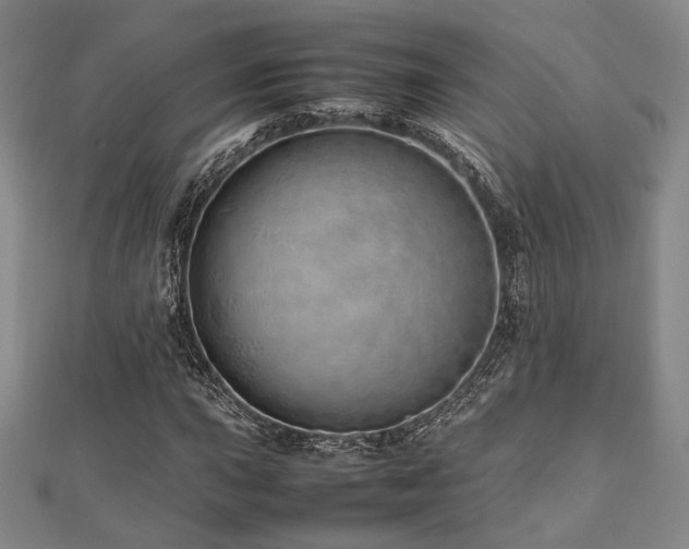 X0000112491015200908171242