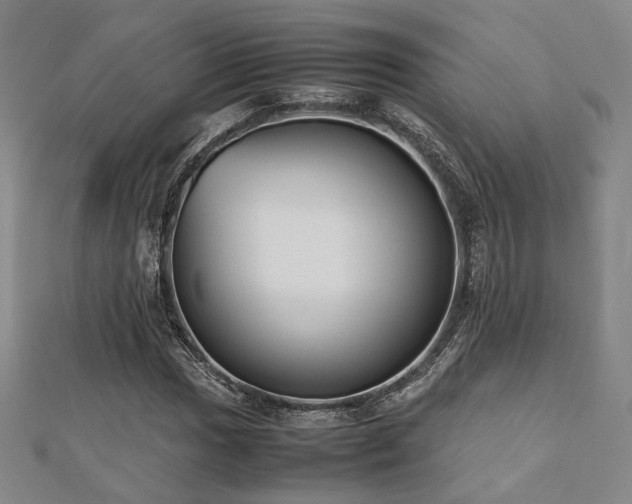 X0000112491017200908171242