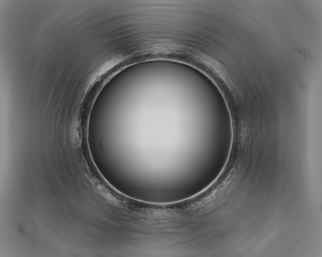 X0000112491018200908171242