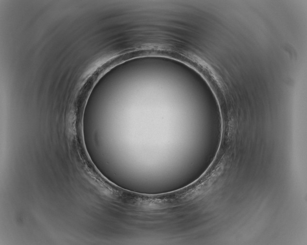 X0000112491019200908171242