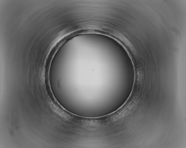 X0000112491020200908171242