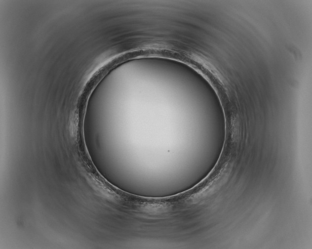X0000112491021200908171242