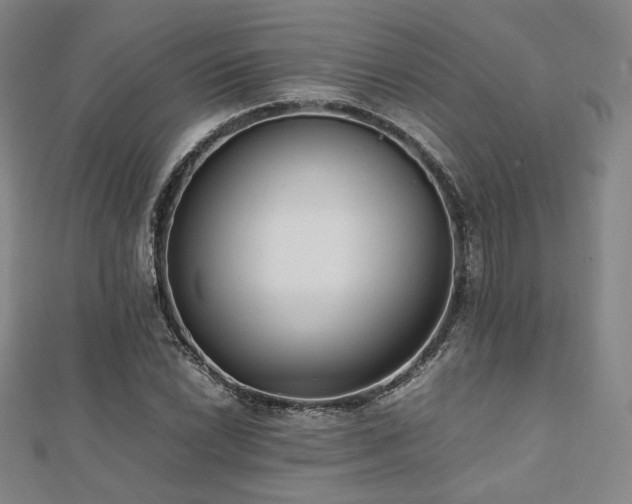 X0000112491022200908171242