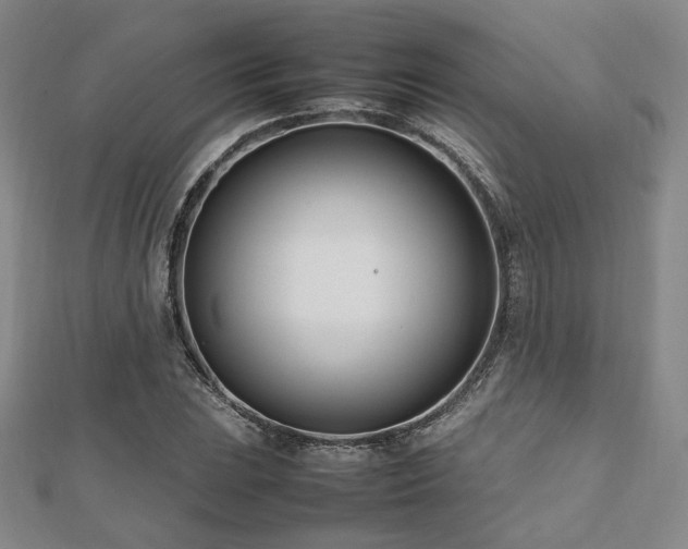 X0000112491023200908171242