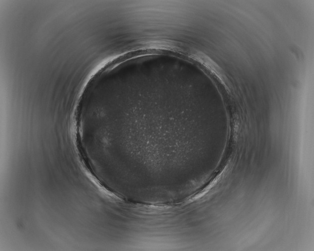 X0000112491024200908171242