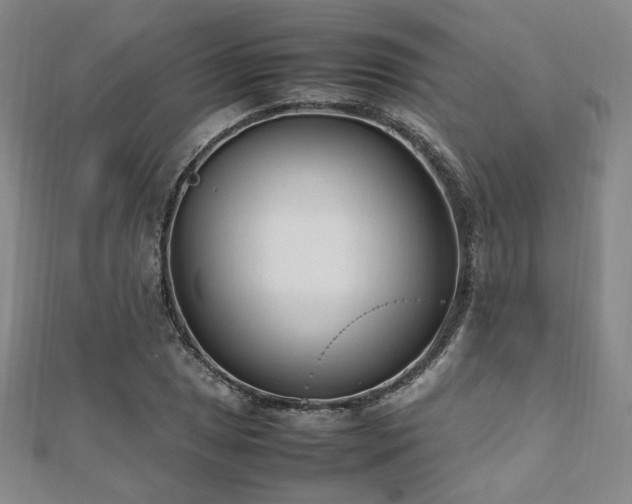 X0000112491025200908171242