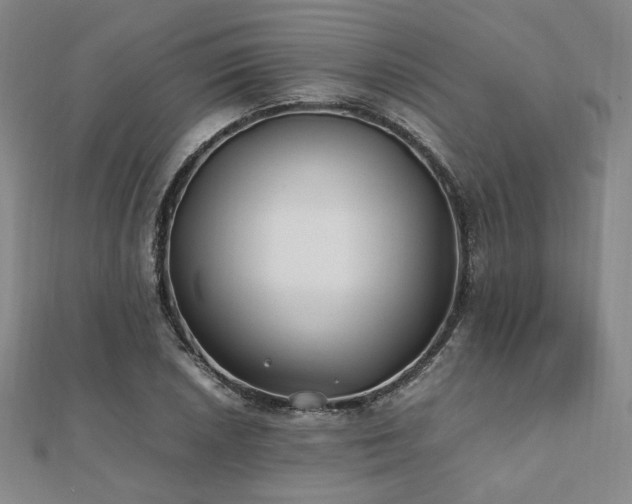 X0000112491026200908171242