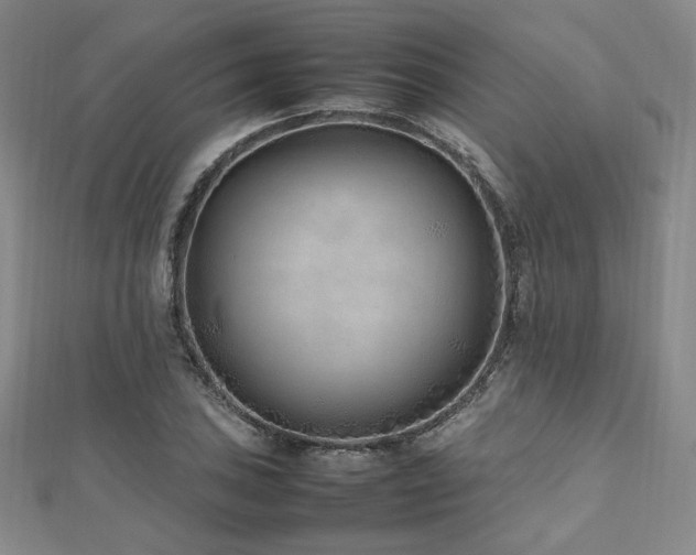 X0000112491027200908171242