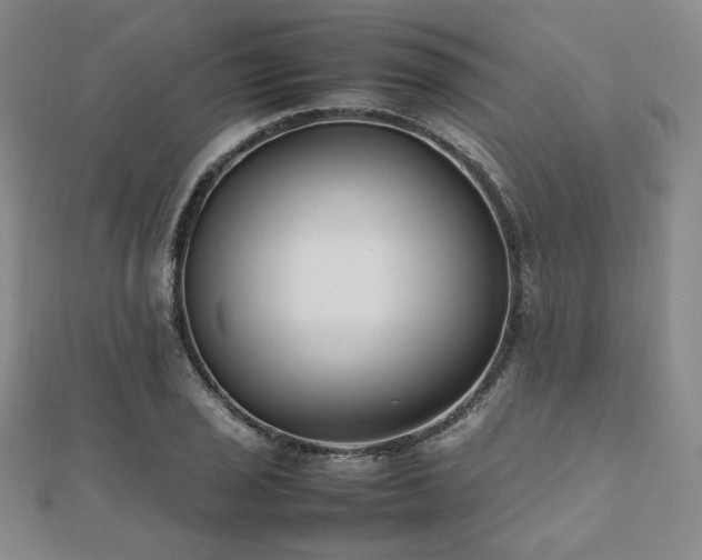 X0000112491029200908171242