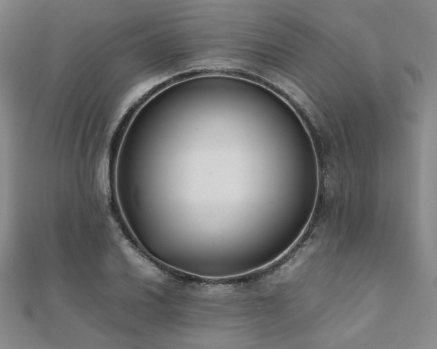 X0000112491030200908171242
