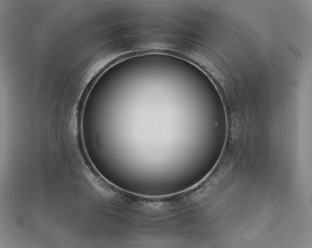 X0000112491031200908171242