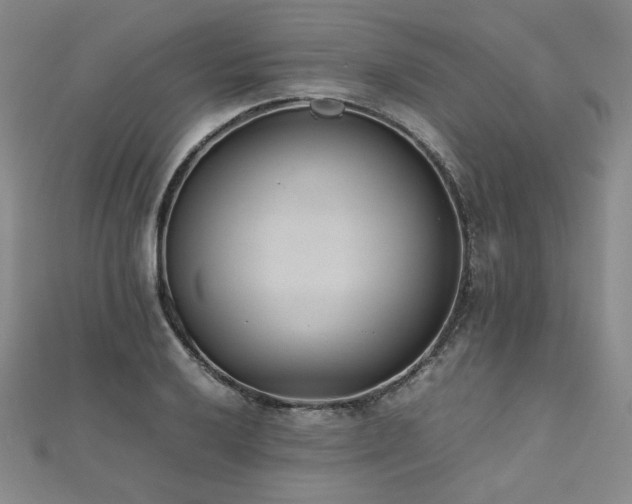 X0000112491032200908171242