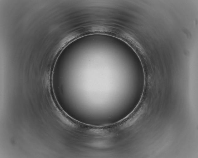 X0000112491033200908171243