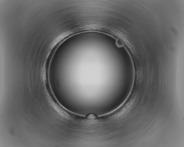 X0000112491034200908171243
