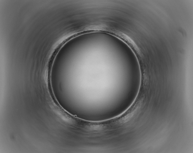 X0000112491035200908171243
