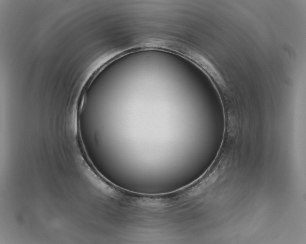 X0000112491036200908171243