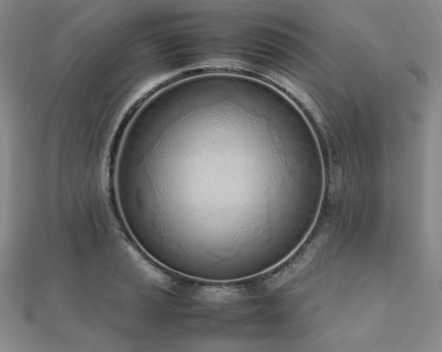 X0000112491037200908171243