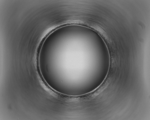 X0000112491038200908171243