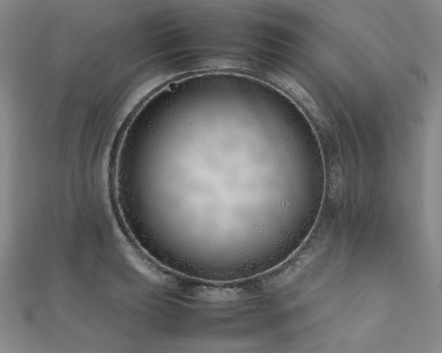 X0000112491039200908171243
