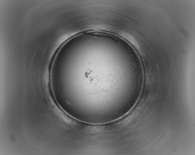 X0000112491040200908171243