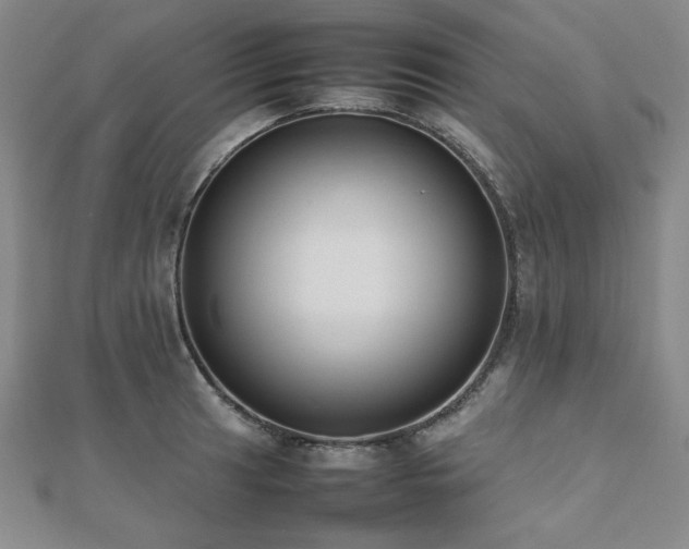 X0000112491041200908171243