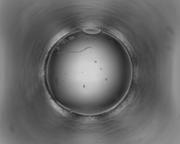 X0000112491042200908171243