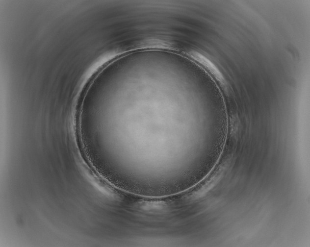 X0000112491043200908171243