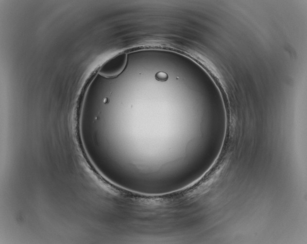 X0000112491045200908171243