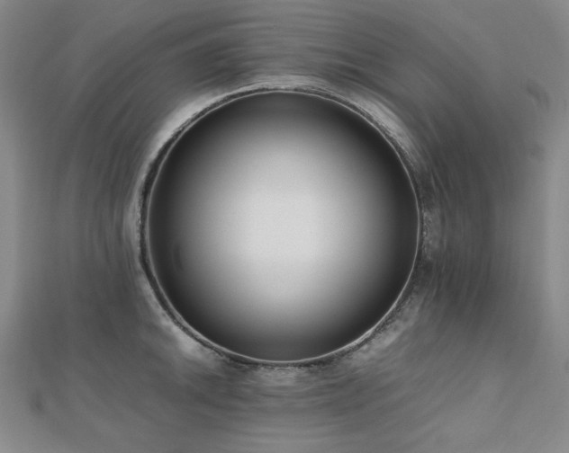 X0000112491046200908171243