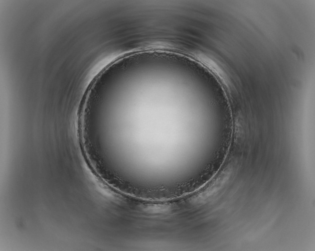 X0000112491047200908171243