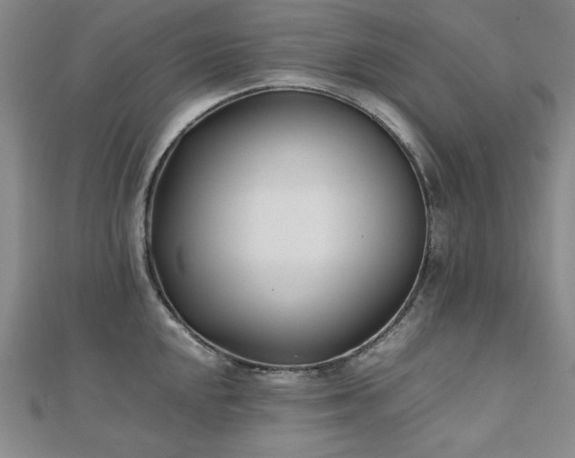 X0000112491048200908171243