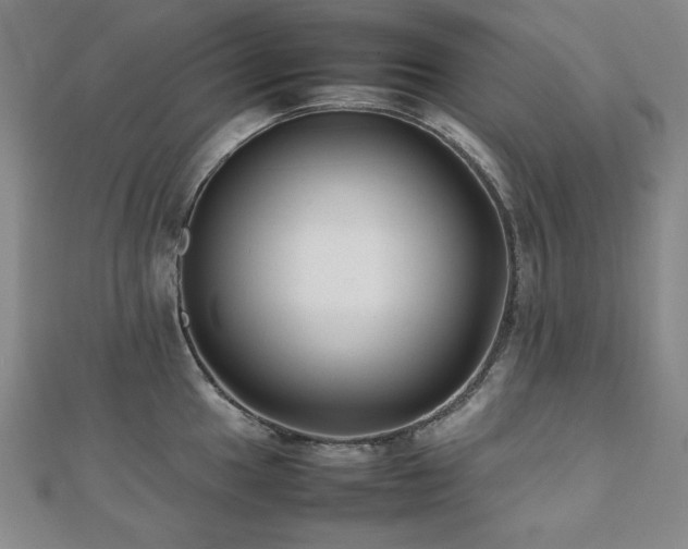 X0000112491049200908171243