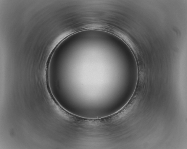 X0000112491050200908171243